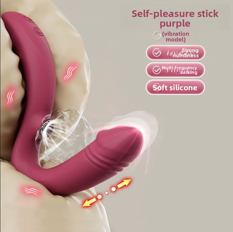 Adult sex toys